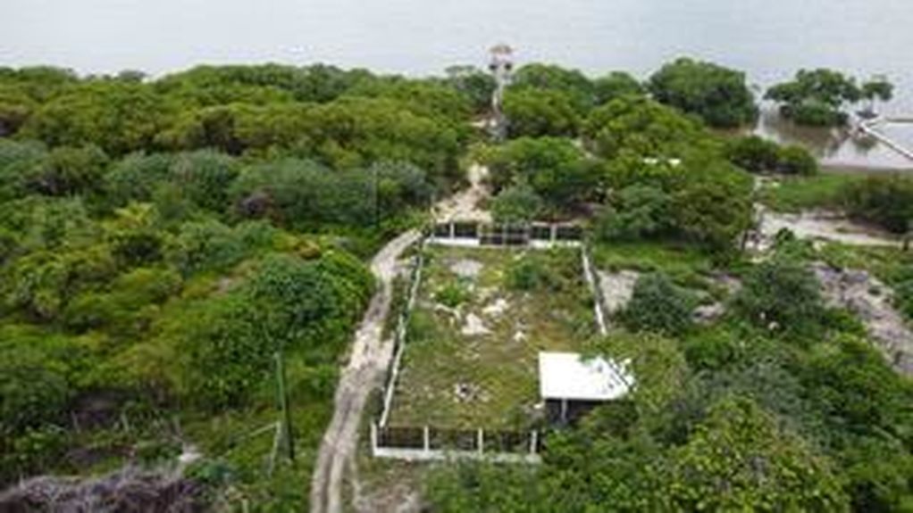 PHOTO-2024-08-25-20-10-47