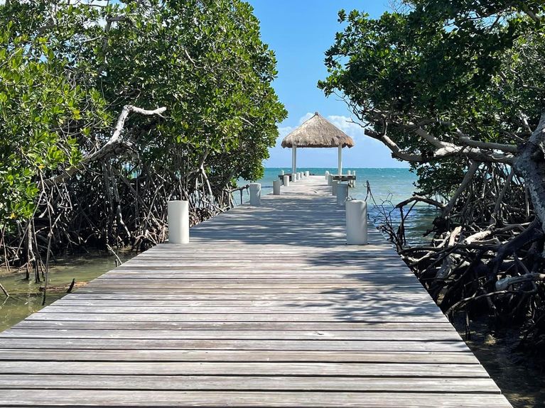 PHOTO-2024-08-25-20-15-10