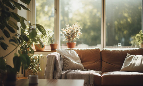 Why Natural Light Is Becoming More Valuable Than Square Footage