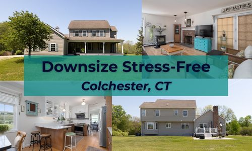 Case Study: How We Helped a Colchester Hom…