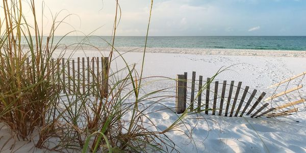 Discover Blue Therapy