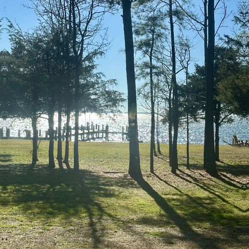 Embracing Tranquility: Living on the Water in Early Spring on the Eastern Shore of Maryland