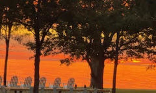 Blue Therapy: The Story Behind a Name, a &hellip;