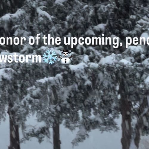 In Honor of the Upcoming, Pending Snowstorm