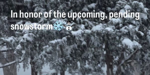 In Honor of the Upcoming, Pending Snowstorm
