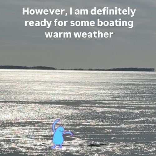 Chilling Views & Golden Opportunities: The Historic 2026 Chesapeake Bay Hard Freeze