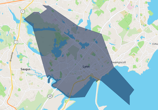 Lynn