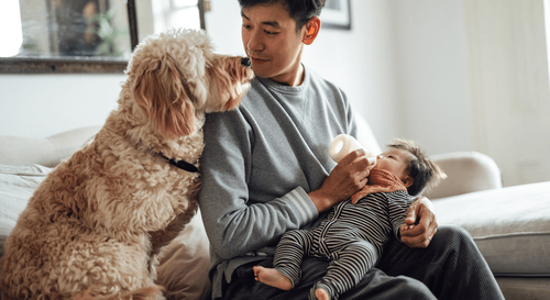 The Personal Joys of Having a Home To &hellip;