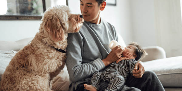 The Personal Joys of Having a Home To …