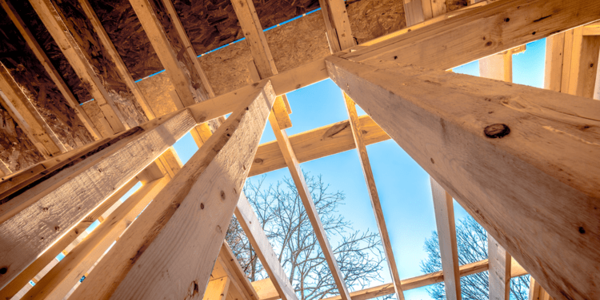 Smaller Homes, Bigger Opportunities: The Homebuilder Trend Buyers …
