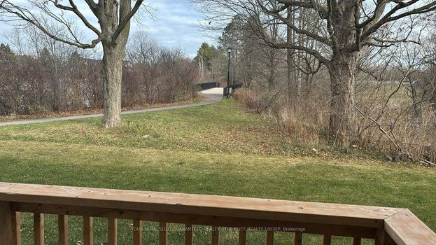 13338688395_auto_650 (1)