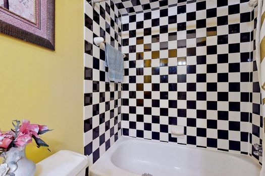 028TT39-l3i9fgsiy1zlc36ajp