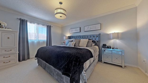 029TT53-l02c20anmzdndq46j2s