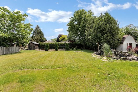 13-web-or-mls-782A3324