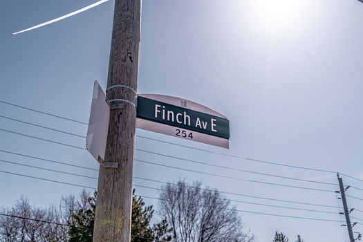 256+Finch+Ave+East-46