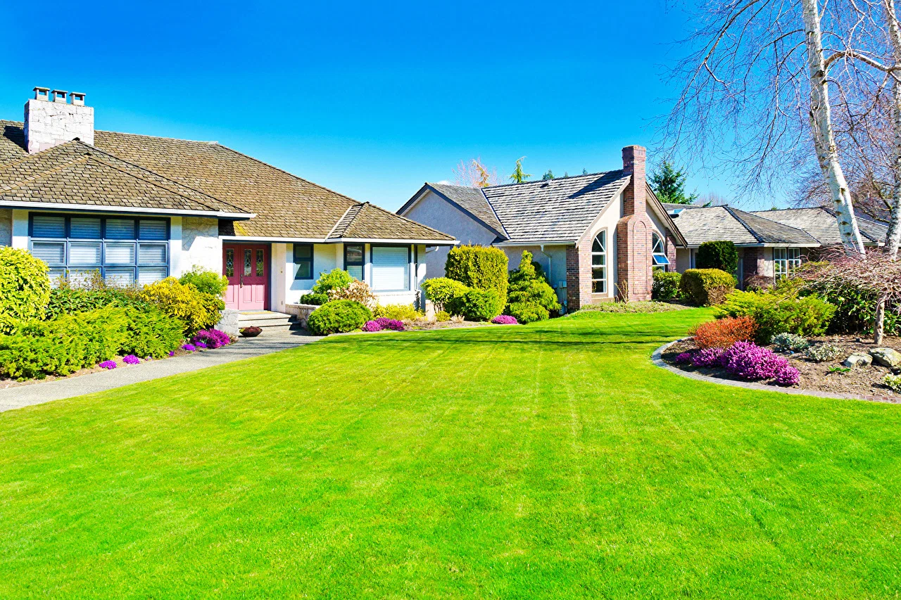 image_2025-10-31_232425575