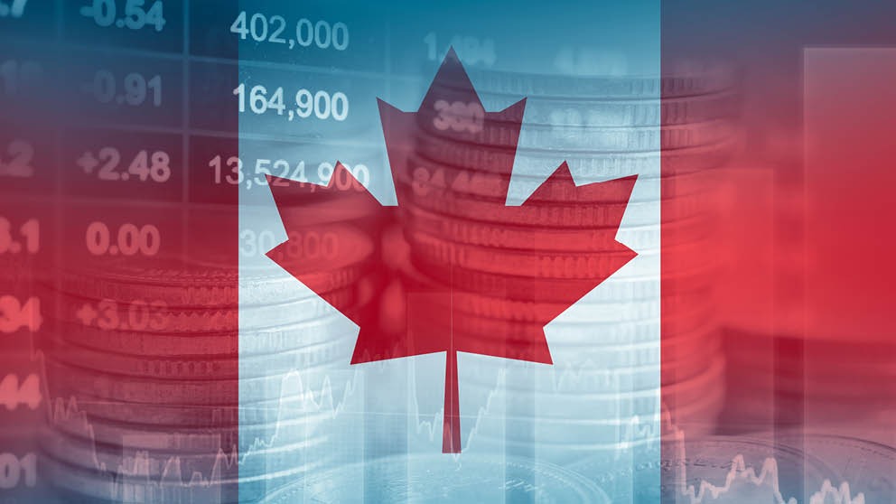 WhatsApp Image 2025-11-12 at 2.11.45 AM