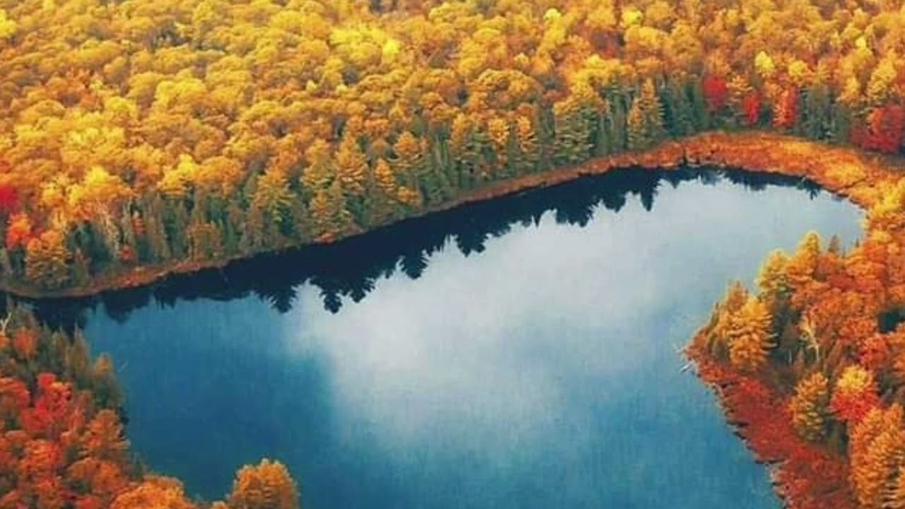 image_2025-11-01_172850652