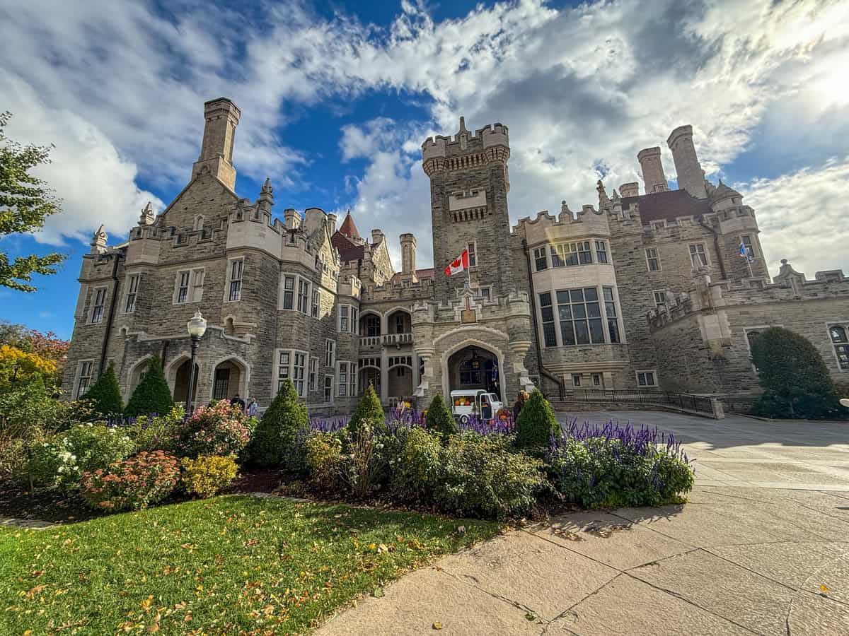 image_2025-11-08_211725758