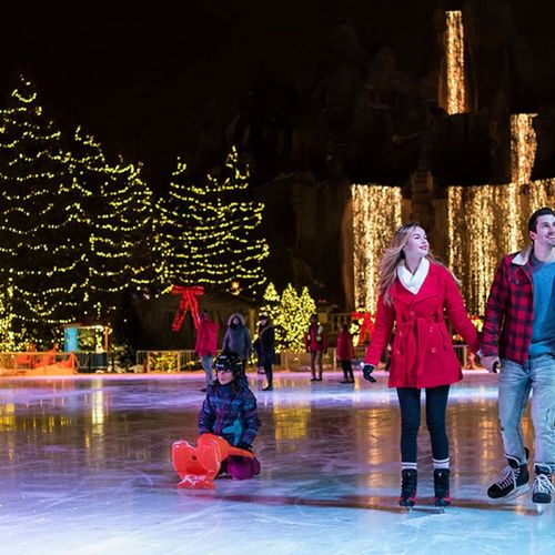 Winter Fun for Everyone: Harbourfront & Wonderland Winterfests