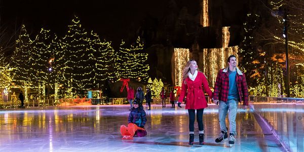 Winter Fun for Everyone: Harbourfront & Wonderland Winterfests