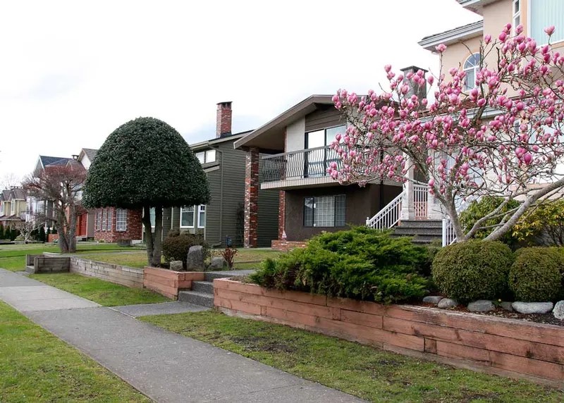 Oakrid2e16d0bafill-800x572format-webpwebpquality-80-98SDJFb