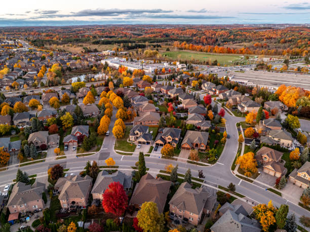 istockphoto-2182146286-612x612