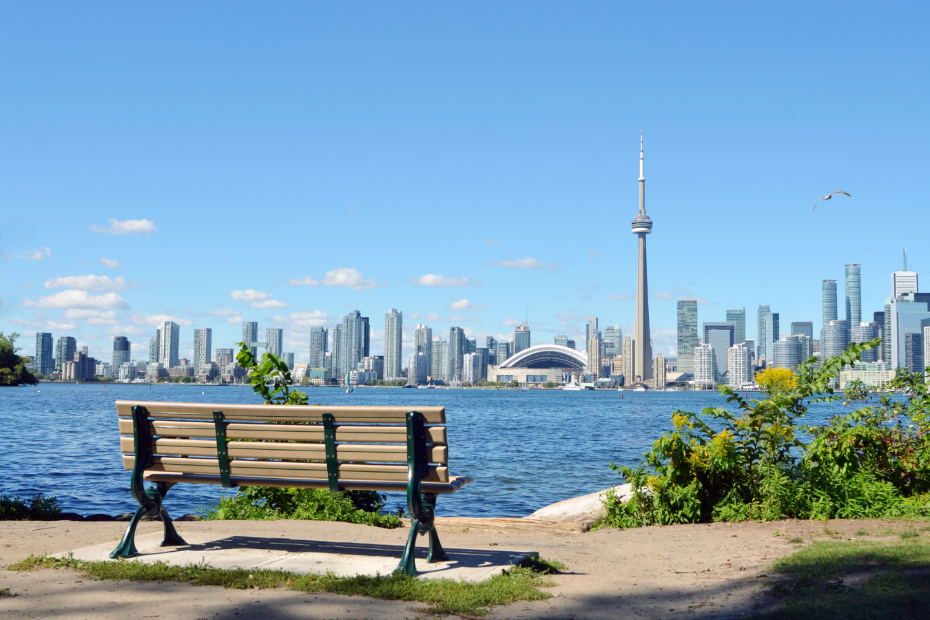 toronto-on-new-toronto