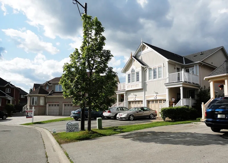 Meadow2e16d0bafill-800x572format-webpwebpquality-80