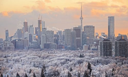 Which Neighbourhoods Are Seeing Early 2026 Growth?