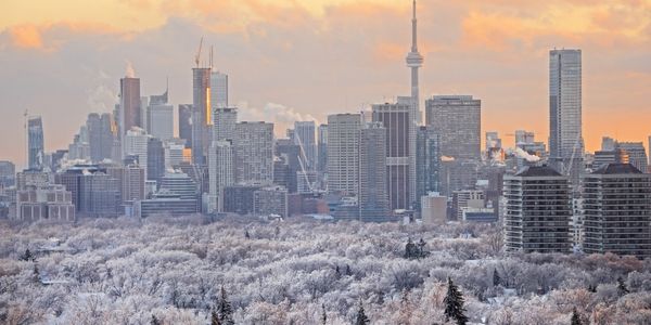 Which Neighbourhoods Are Seeing Early 2026 Growth?