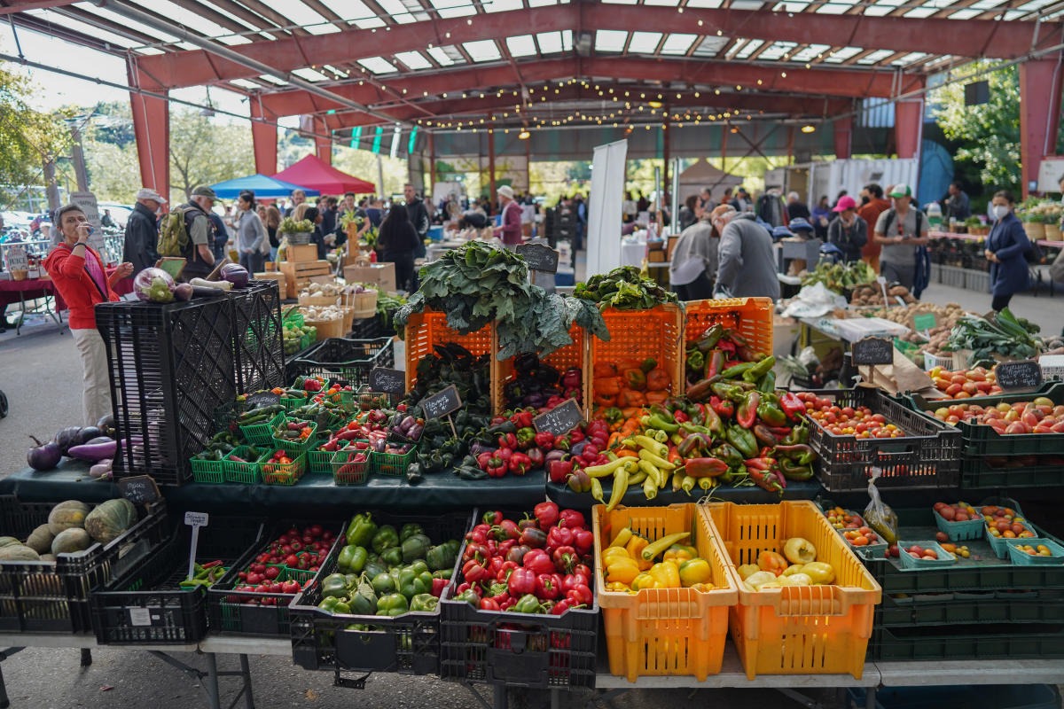 WhatsApp Image 2026-04-13 at 11.40.39 PM