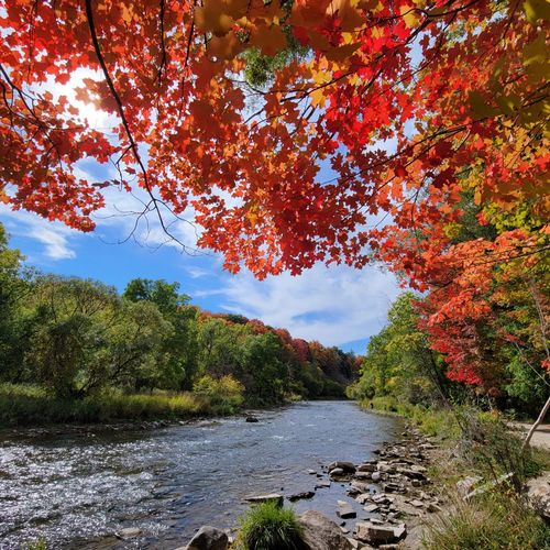 Fall in the GTA: Where to Enjoy the Season This Weekend