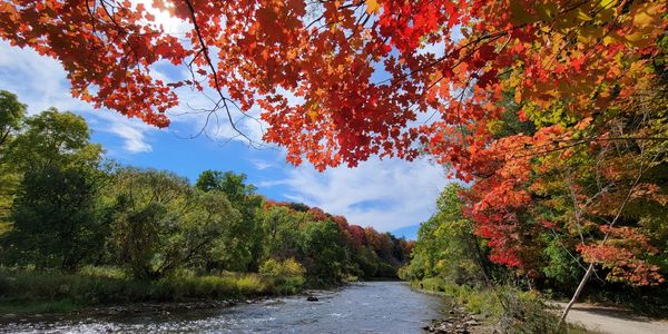 Fall in the GTA: Where to Enjoy the &hellip;