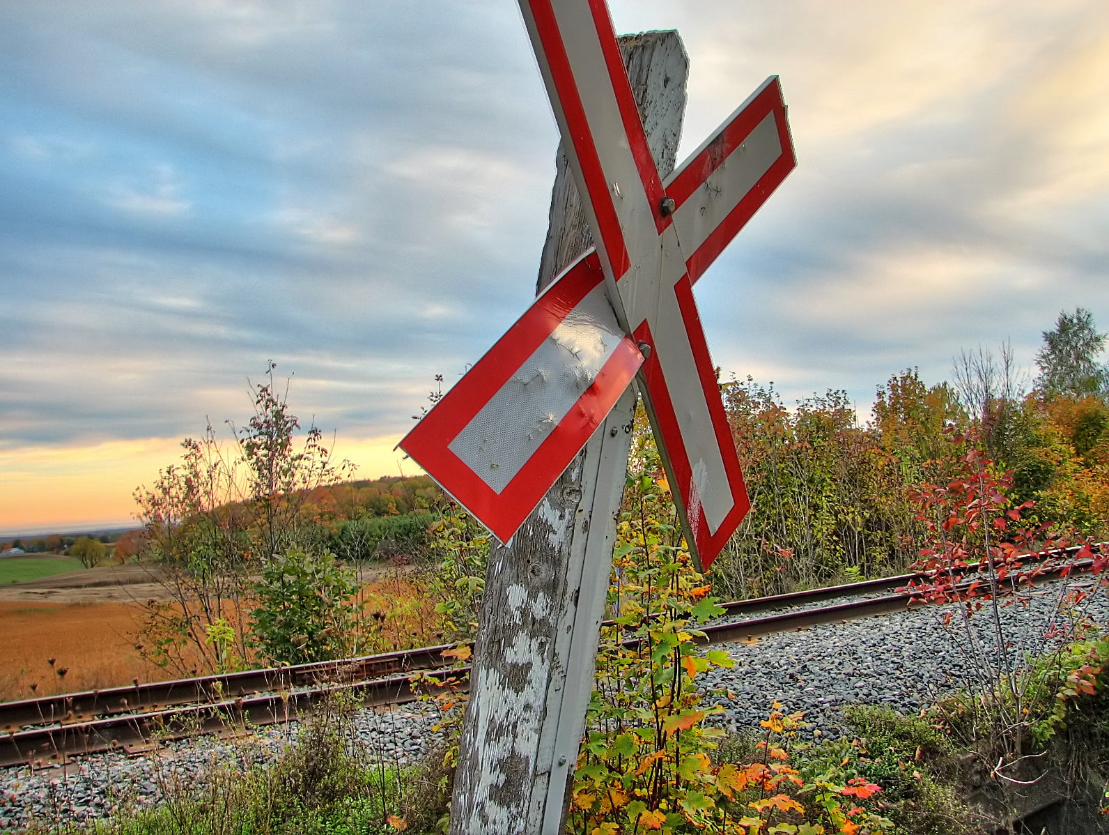 Autumn woodland landscape at Purple Woods in northern Oshawa