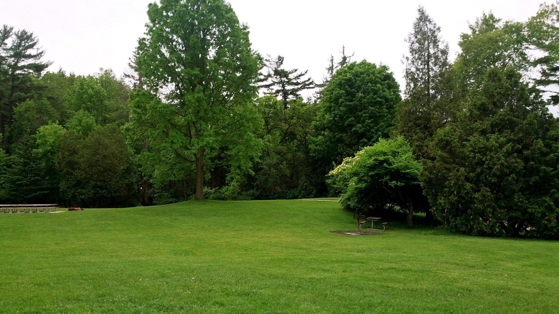 Green lawns and mature trees in Sunnybrook Park, Toronto, in summer