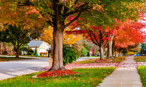 What’s Really Happening in the Fall Real Estate Market?