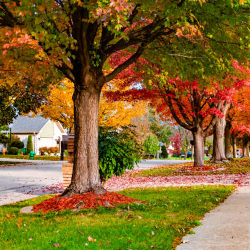 What’s Really Happening in the Fall Real Estate Market?