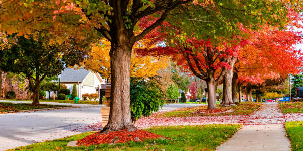 What’s Really Happening in the Fall Real Estate &hellip;