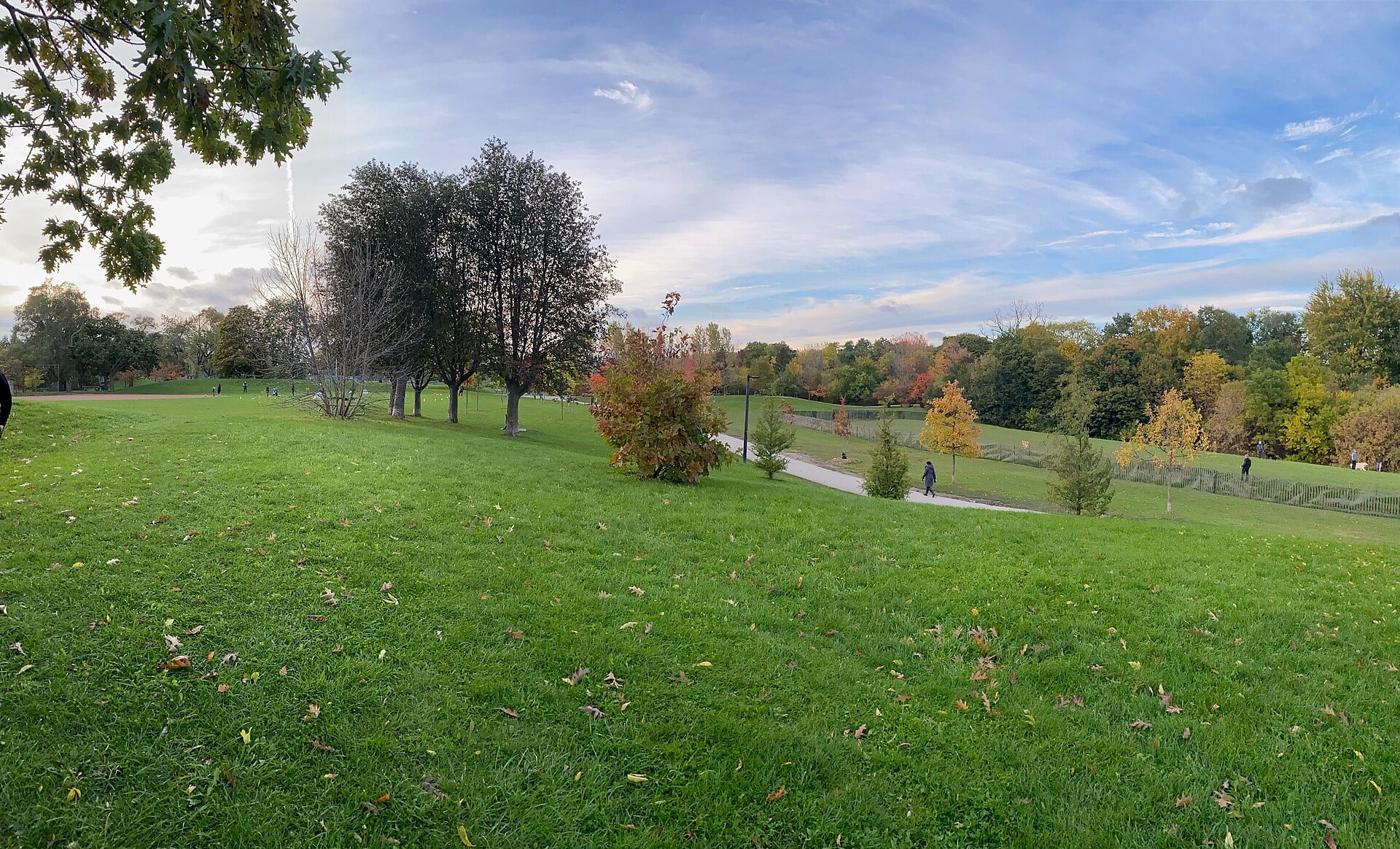 Hills and green space at Cedarvale Park in Toronto