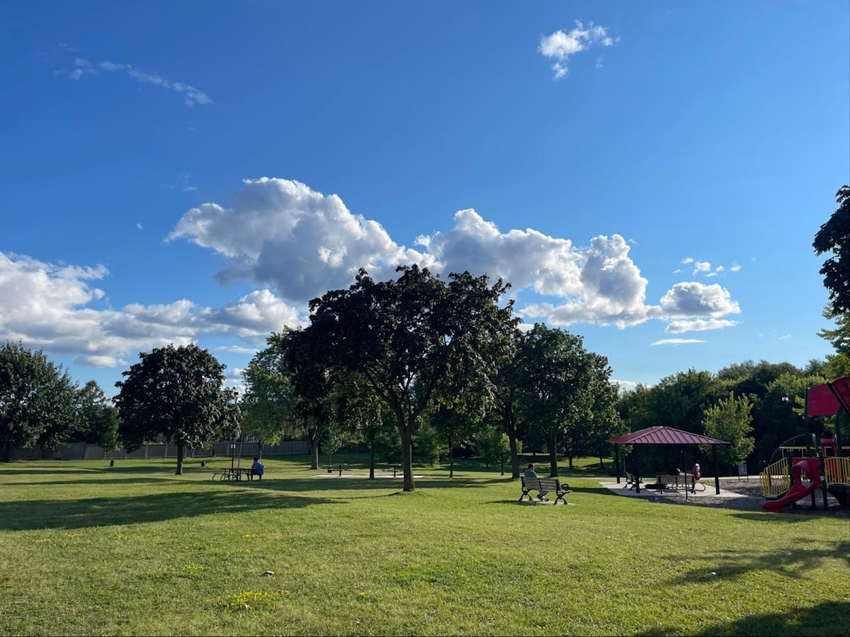 Trees and green space at Maple Leaf Park in Rustic, North York