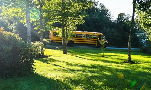 What You Should Know Before Buying in Wexford &hellip;