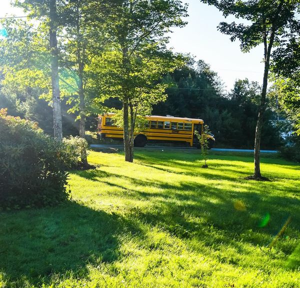 What You Should Know Before Buying in Wexford PA