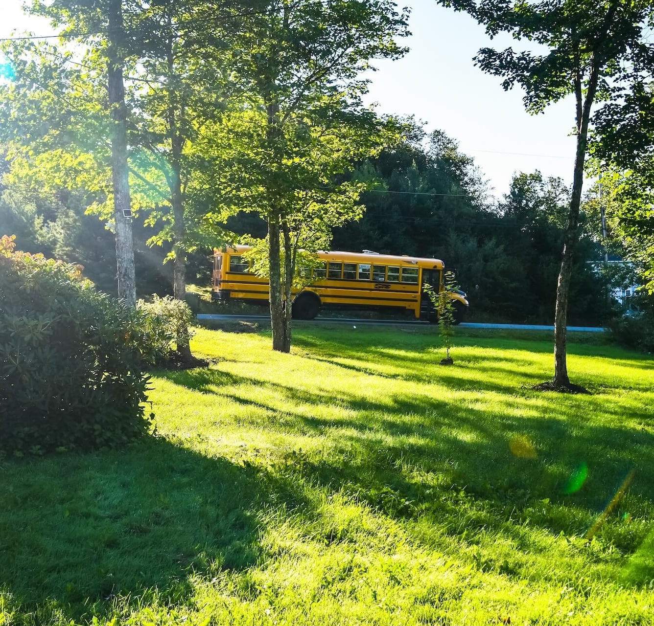 A yellow school bus passing through a tree-lined suburban street on a sunny morning, viewed from a green lawn in Wexford, PA.