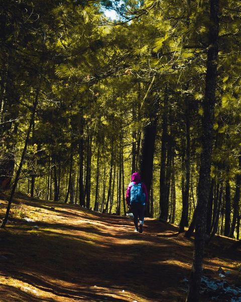 ashok-acharya-GfdbM6f2VHo-unsplash