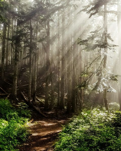 dale-nibbe-6mU7uCAO64I-unsplash