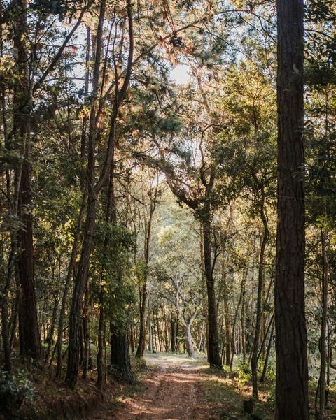 esteban-benites-NQO4i4VTJW4-unsplash (1)