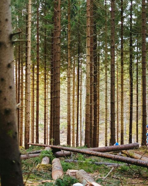 gus-ruballo-dwKrD_DK6N8-unsplash