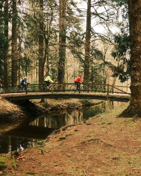 yevhenii-pylypenko-8Z9MYc-5eh8-unsplash