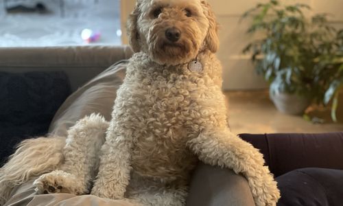 A Thanksgiving Note From Sheri & Matt 🍂